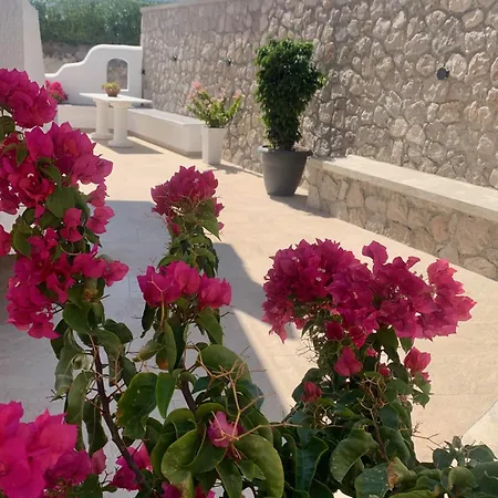 Apartman Anemos *